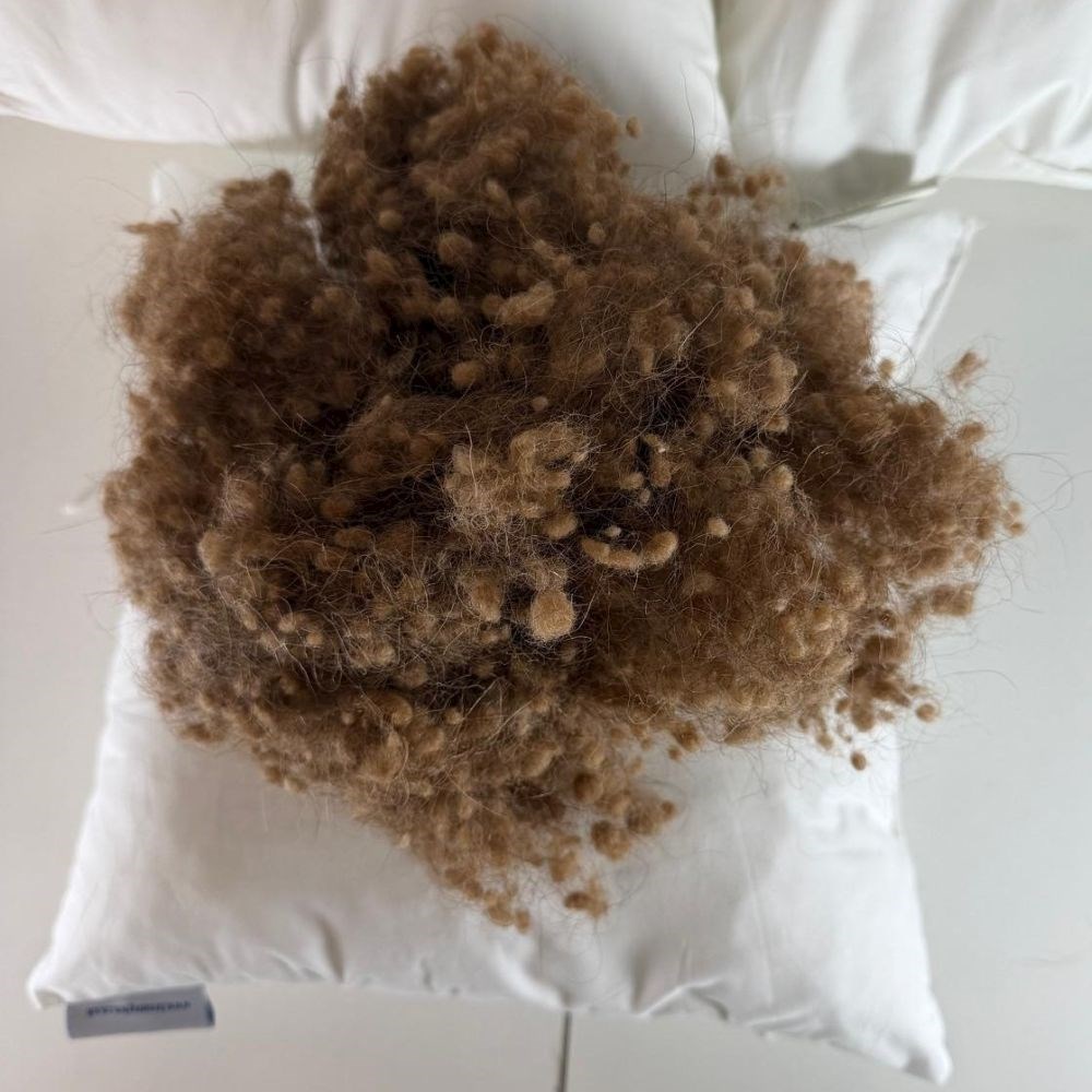 Camel Filled Cushion Pad